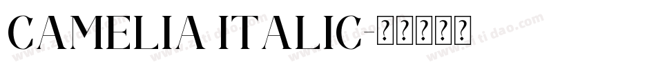 Camelia Italic字体转换